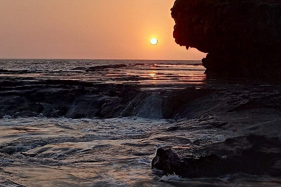 Force Urbania On Rent Pune To Harihareshwar